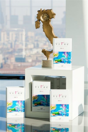 AIS_guida VITAE      