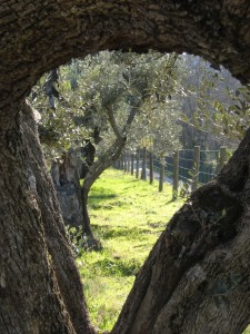 s.agata0909 009  